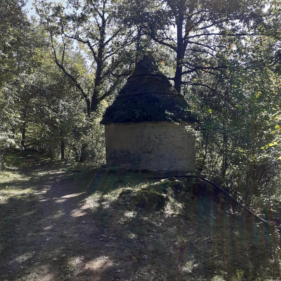 Le Manoir De Carlucet Gite Saint-Crépin-et-Carlucet Exterior foto